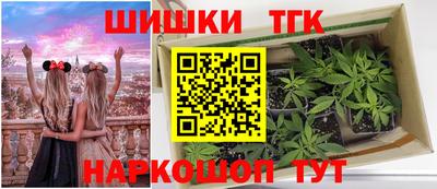 гашик Анжеро-Судженск
