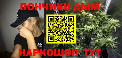 гашик Анжеро-Судженск